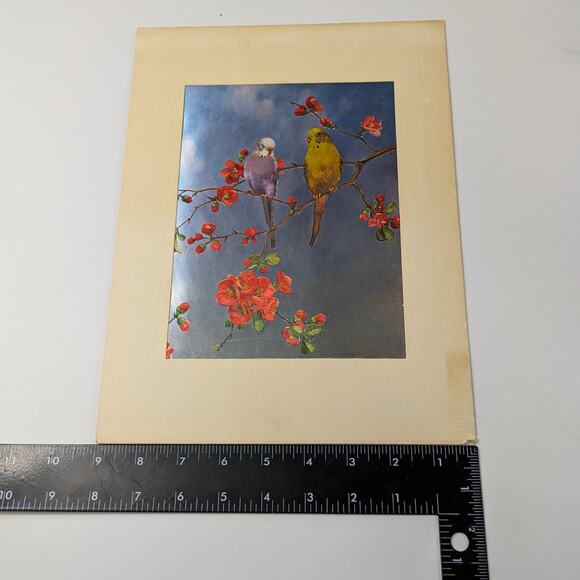 Foil Art Bird Lot Two (2) Signed F. Osborne Vintage B Parakeet Magnolias Floral2 - Picture 12 of 16